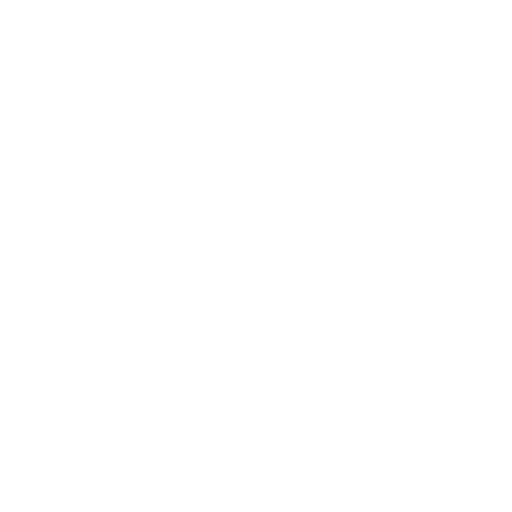 Guide